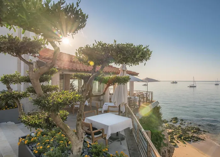 The Albatroz Cascais